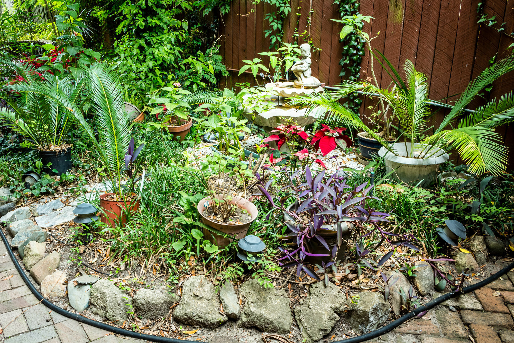 Bed and Breakfast Amethyst Garden Savannah Exteriér fotografie